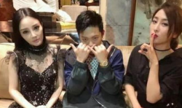 娱乐圈吃瓜小说陆家,娱乐圈风云再起，豪门恩怨背后的真相揭秘